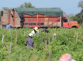 Asciende a más de $130 mil los apoyos de Sebides entregados a jornaleros