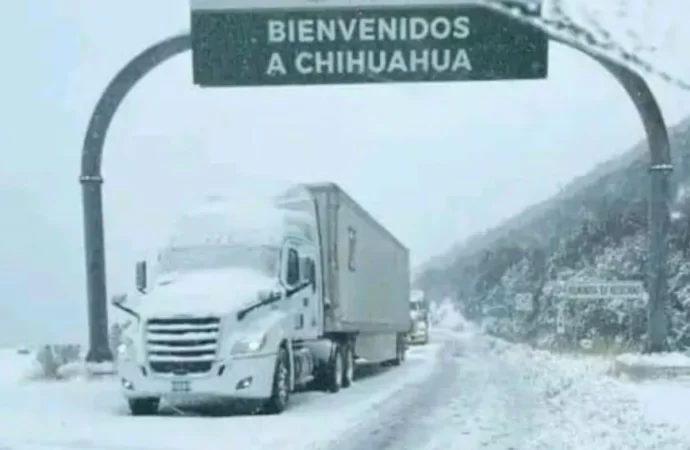 Chihuahua bajo nieve por frentes fríos caen nevadas en el estado