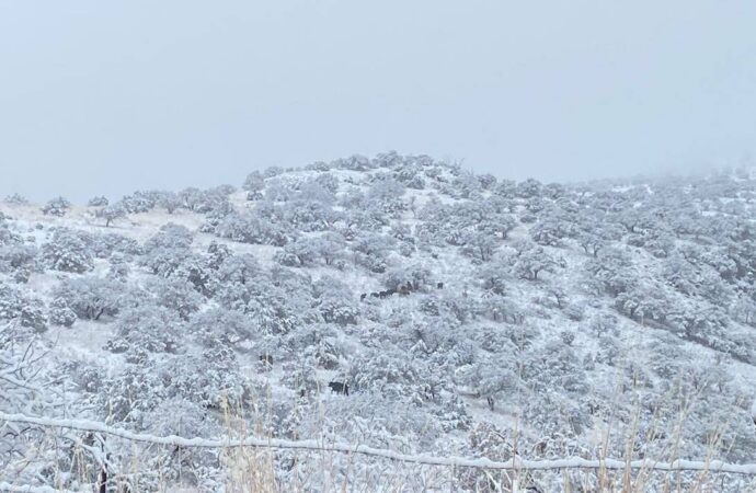 Se registran lluvias, nevadas y fuertes vientos en el norte y zona montañosa