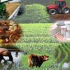 Buscan mejorar productividad del sector agropecuario  de Baja California