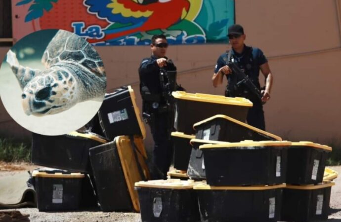 El Puente Colosio en La Paz estará listo para las lluvias