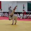 Dictan prisión preventiva contra entrenador de judo que abusó de niña en Baja California